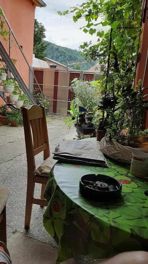 Pension Im Glueck Тале Экстерьер фото