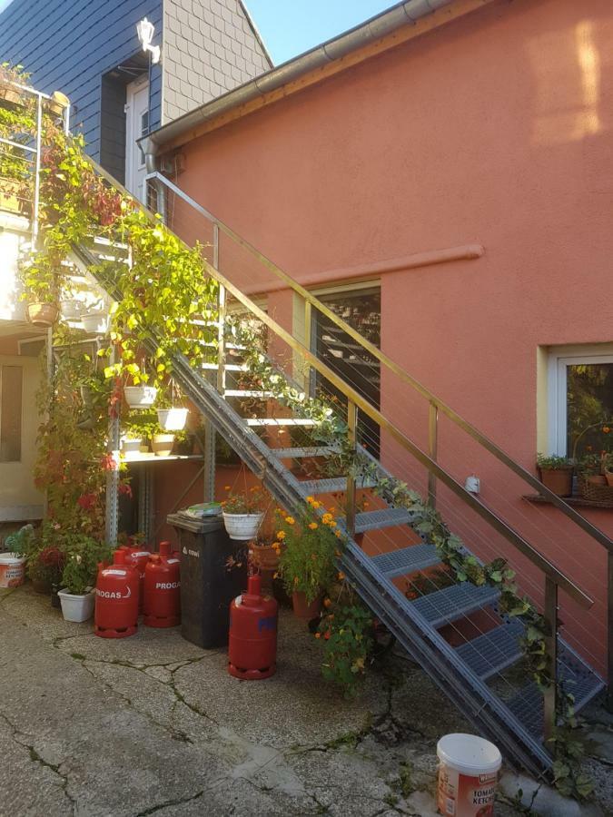 Pension Im Glueck Тале Экстерьер фото