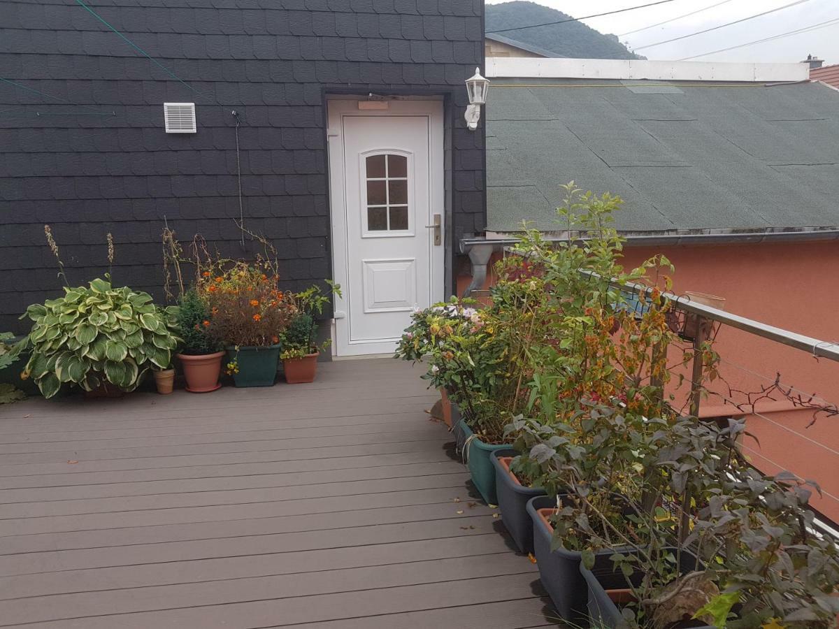Pension Im Glueck Тале Экстерьер фото